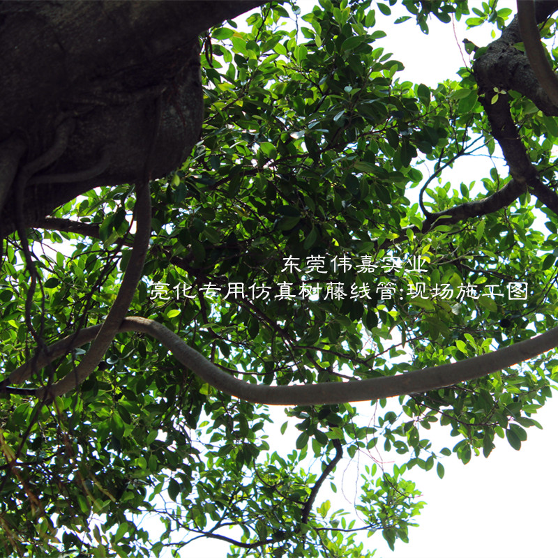 內(nèi)徑20MM仿真樹(shù)藤穿線管